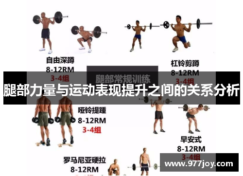 腿部力量与运动表现提升之间的关系分析
